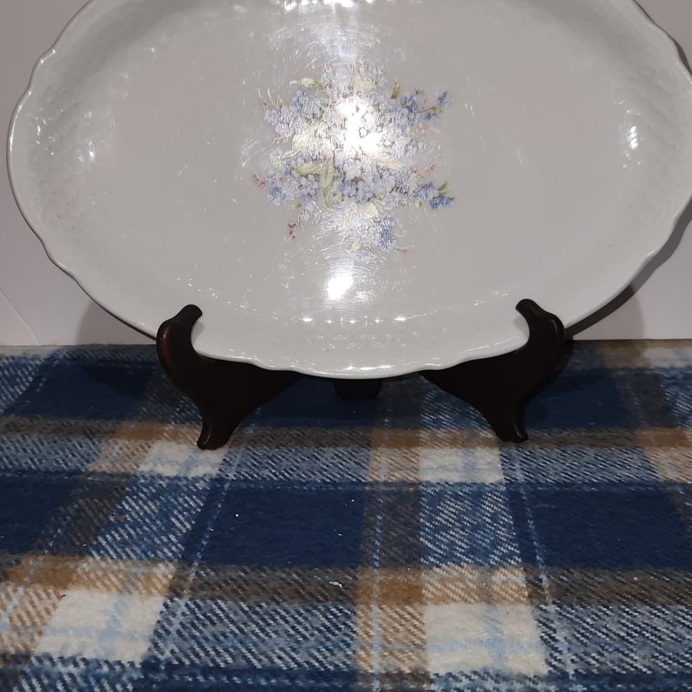 Elegant Vintage Schumann Arxberg German Serving Platter